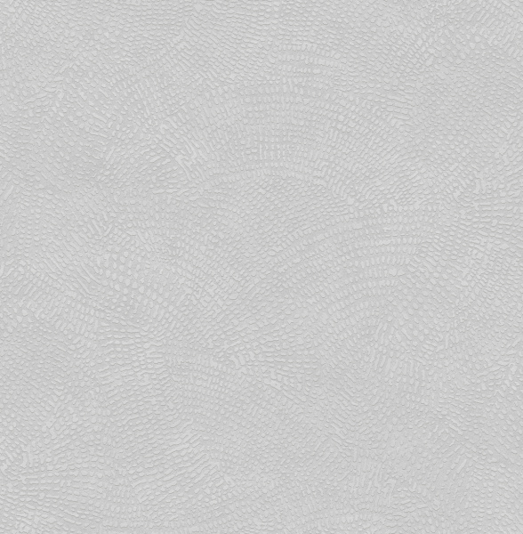 585005