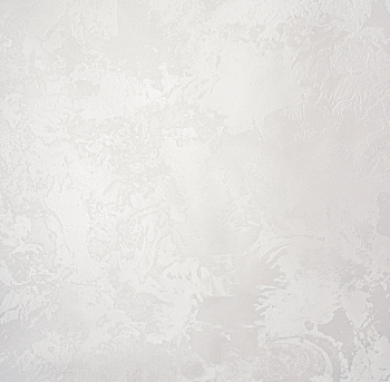 285924 обои Victoria Stenova / Ferrara светло серый