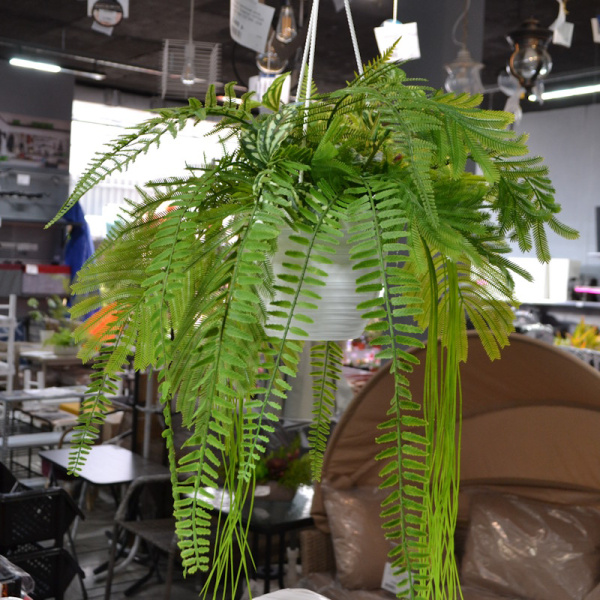 upd podvesnoi sad bel