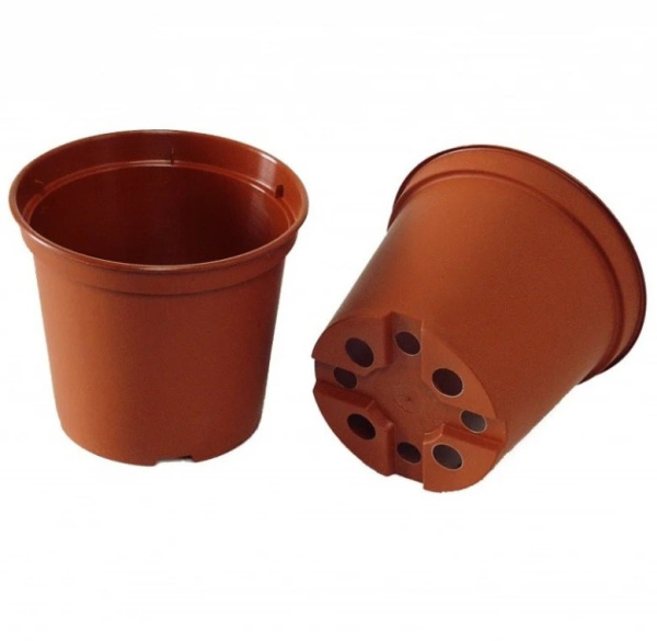 thumb_223860_offer_big