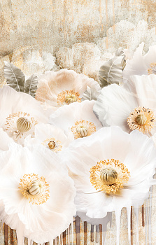 Картина Нежность маков 70х110