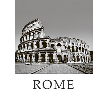 8257020 Картина на холсте Victoria Stenova  40*50 / Capital