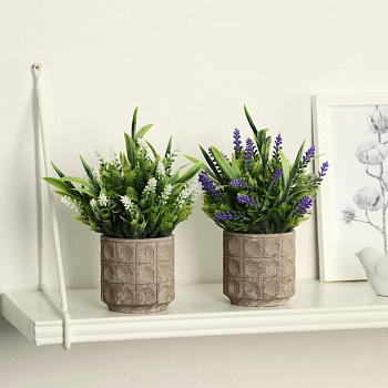 Бонсай в горшке "Лаванда люкс" 8,5х17см микс 9750525