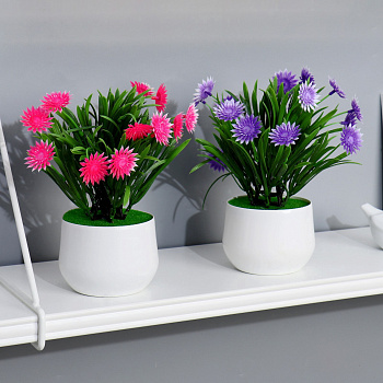 Бонсай в горшке "Остроконечник" 9х28см микс 5664395