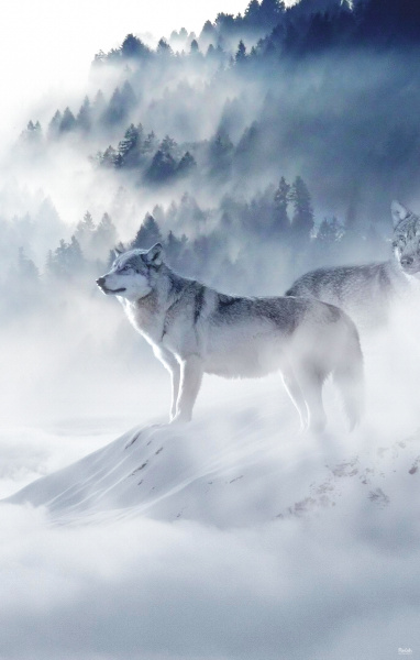 ktfmu64umquildzvcmzk15mcjk8y87kc