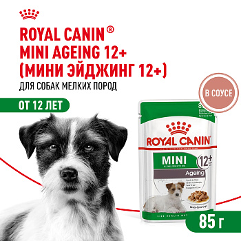 Мини Эйджинг 12+ соус 28*85г ЧЗ