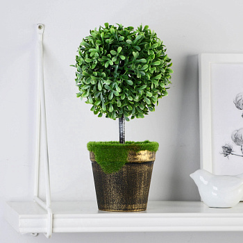 Бонсай в горшке "Самшит" 10х23см 9750524