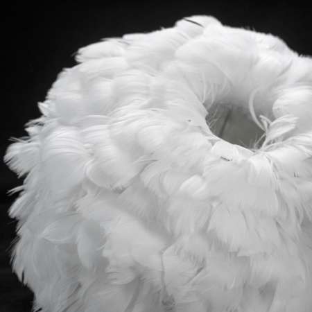 GRLSP-8361_1.JPG.580