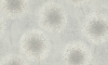 7296-01-раппорт