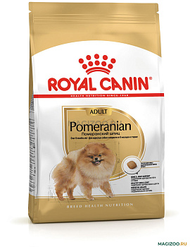 Померанский шпиц 0,5кг ЧЗ