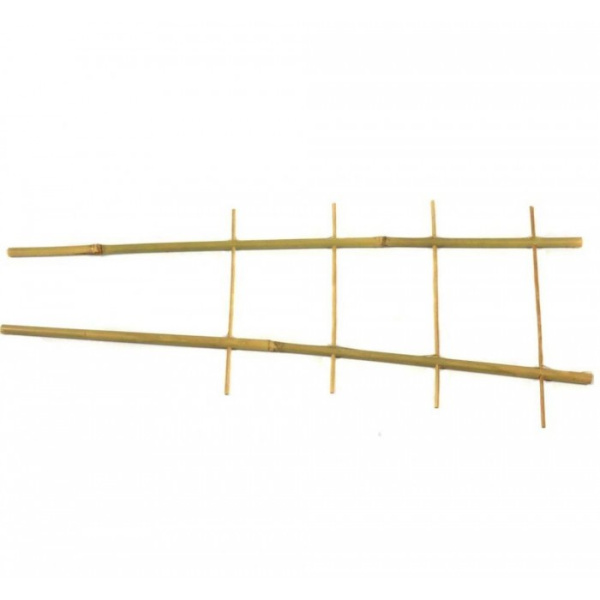 4690631016424-700x700