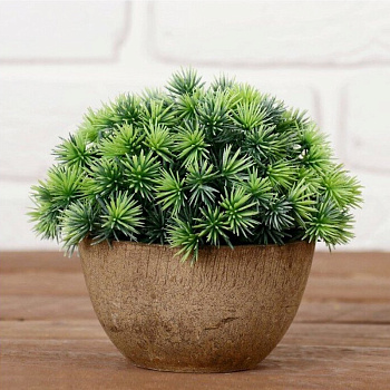 Бонсай в горшке "Пушистые колючки" 9*13см микс 4457610