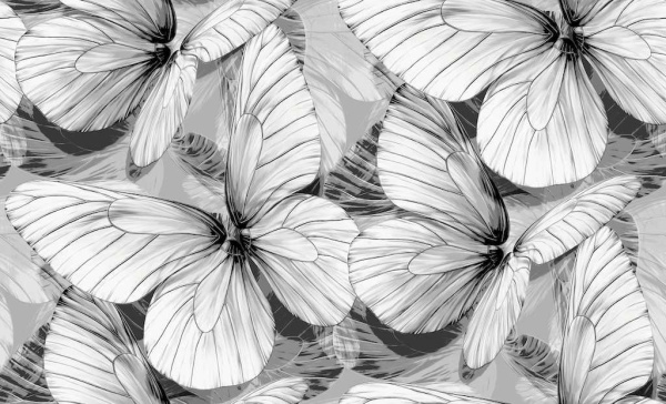 r139121-rap-oboykin-grandeco-biokko