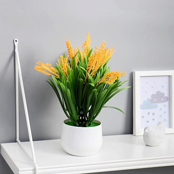 Бонсай в горшке "Кипарис крупноплодный" 9х23см 5664397