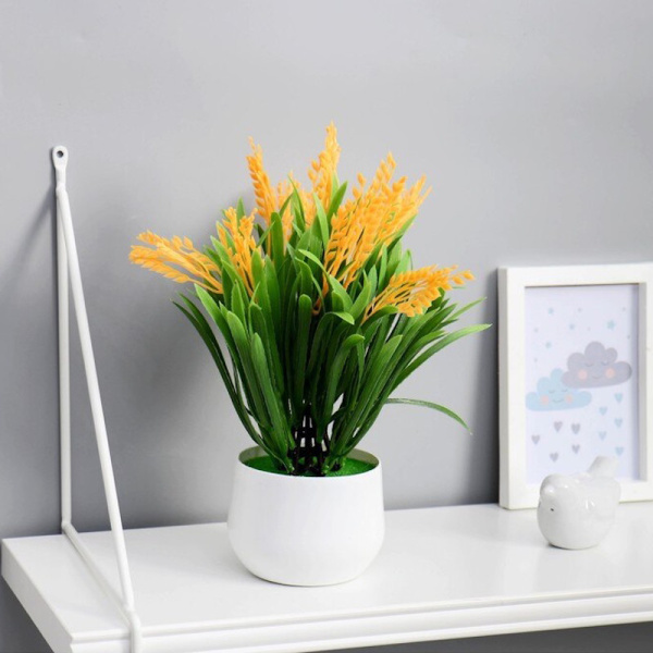 upd kiparis krupnoplod