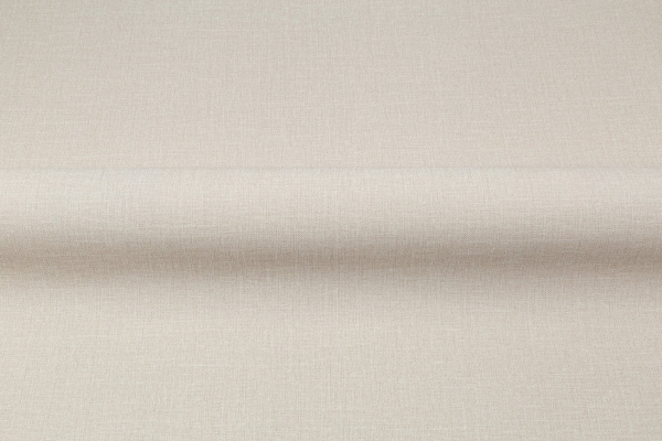 CAT_MACRO_PHOTOaI_VV72301-21_(3)