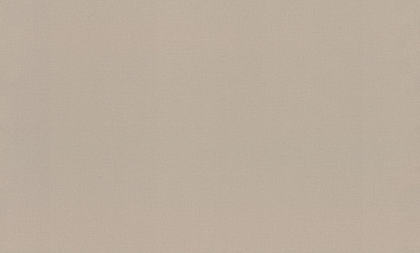 983524-rap-oboykin-rasch-novella