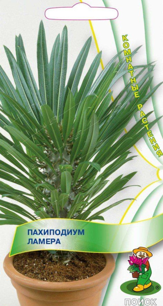 ebb1acdda31c0ad9aca8b55946d36cf1