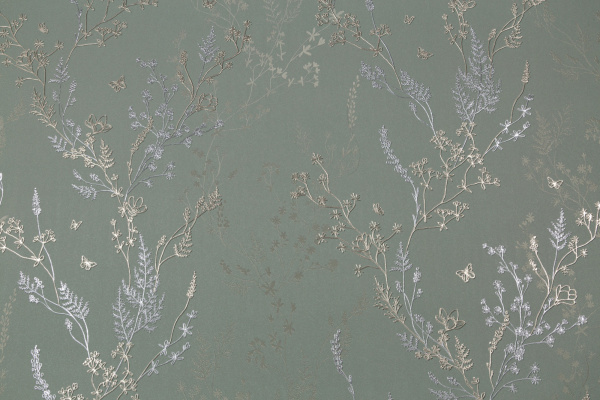 CAT_MACRO_PHOTOxI_HC72414-74_(1)