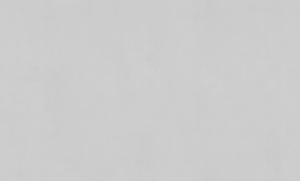 7332-11-раппорт