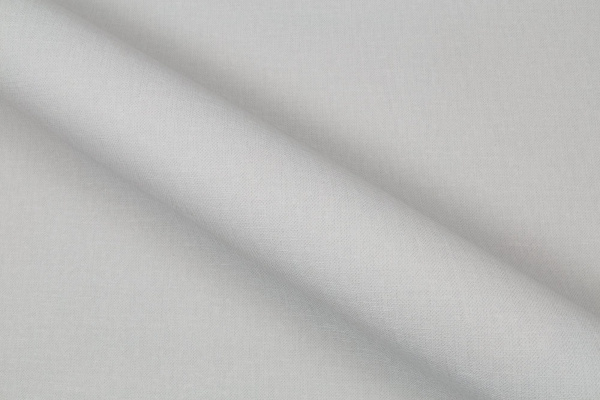 CAT_MACRO_PHOTOiI_PL72362-41_(4)