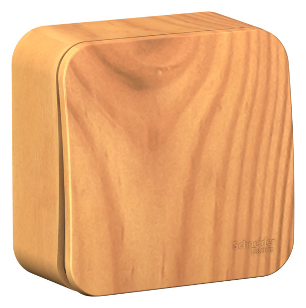 Выкл 1кл ОП 10А Ясень BLANCA 101015