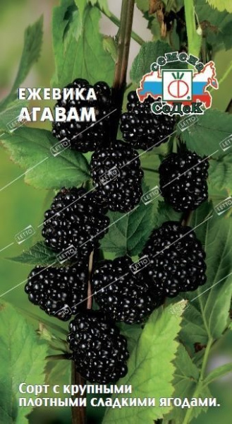 a635841dd7d9f6247a0fe1cae391dbe2