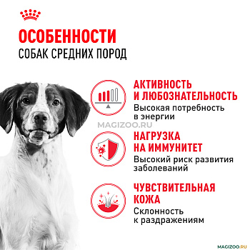 Медиум Эдалт 3 кг ЧЗ