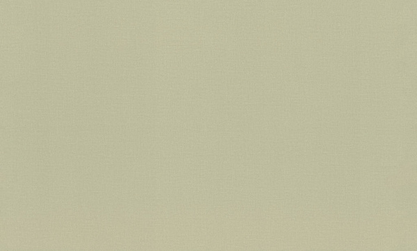 983562-rap-oboykin-rasch-novella