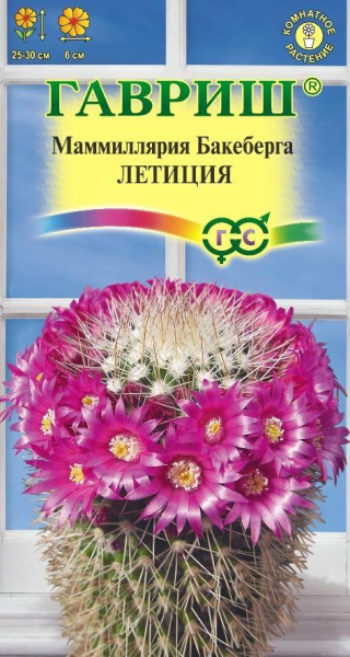 gtsk_mammillyariya_bakeberga_kaktus_letitsiya_m_2sht_novinka22