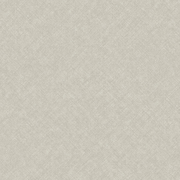 1103CO (GD) Бельгия / CONCEPT (1,06*10м обои винил флиз)  (6)