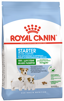 Мини Стартер 1кг