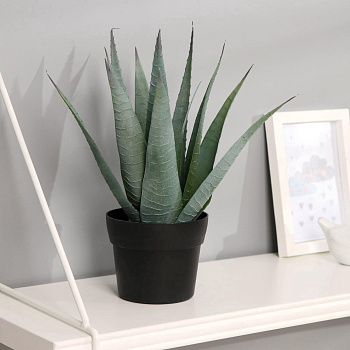 Бонсай в горшке "Алоэ вера" 10х25см 7081293