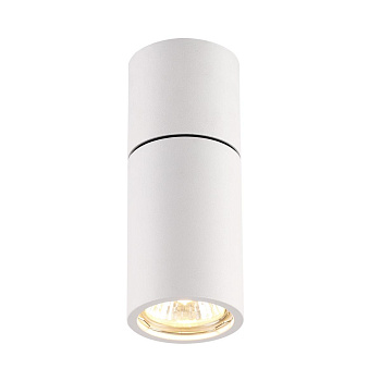 3582/1C ODL18 127 белый матовый Потолочный светильник IP20 G10 50W DUETTA