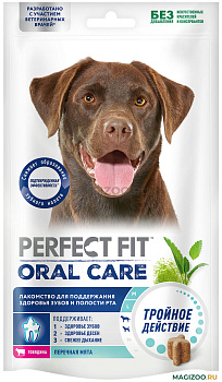 Perfect Fit 130г Лакомство Собака Здоровье полости рта Говядина