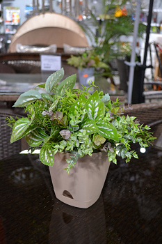 Кашпо М шапочка ВН.ШК