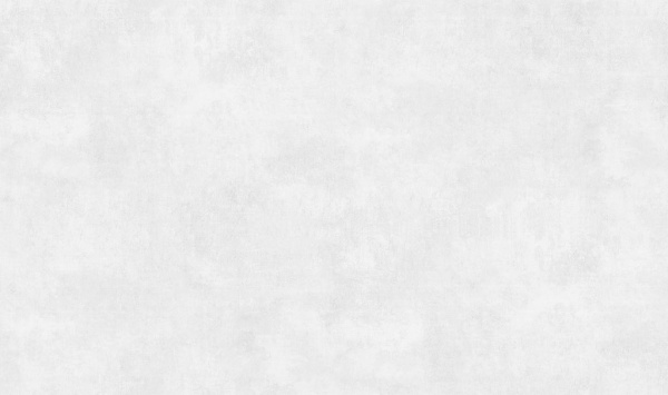 11334-02-rap-oboykin-ecoline-kazan