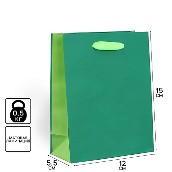 Пакет подарочный 2-цветный «Зеленый-Салатовый» S 12*15*5,5см 9612654