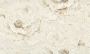 9326-02-раппорт