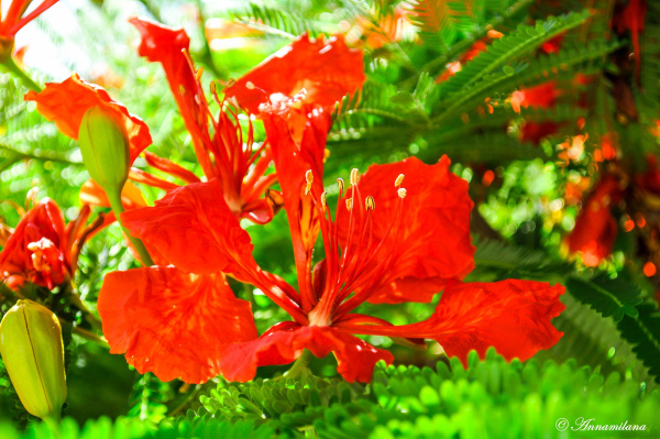 3d15437d00c73519271134c84b40c0a5