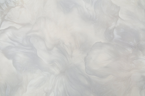 CAT_MACRO_PHOTOhI_PL72416-42_(1)