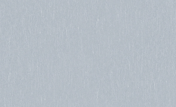 60812-07-rap-oboykin-erismann-bali