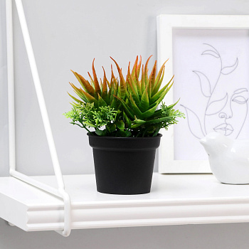 Бонсай в горшке "Суккуленты" 6,5х11см микс 4453391