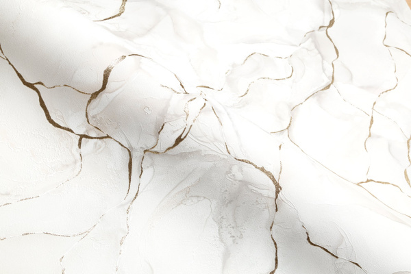 CAT_MACRO_PHOTOgImg_PL71891-12_(6)