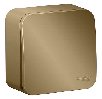 Выкл 1кл ОП 10А Титан BLANCA BLNVA101014 (15/1) SE