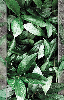 Картина Листья за стеклом 110х70