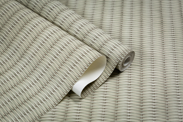 CAT_MACRO_PHOTOiI_TC72456-27_(5)