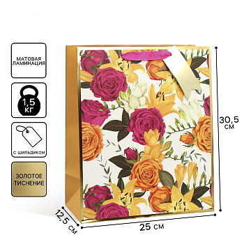 Пакет подарочный с шильдиком «На радость тебе», 30,5 × 25,4 × 12,7 см   9750208