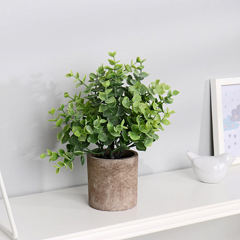 Бонсай в горшке "Буксус" 7,5х21см 7081328