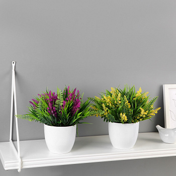 Бонсай в горшке "Лаванда галант" 11х14см микс 9750541